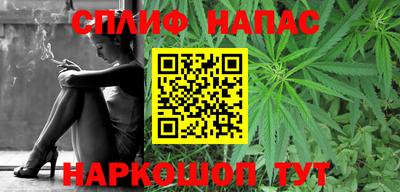Альфа ПВП Нальчик