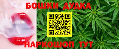 индика Наро-Фоминск