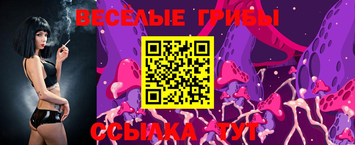 Галлюциногенные грибы Psilocybine cubensis Сыктывкар